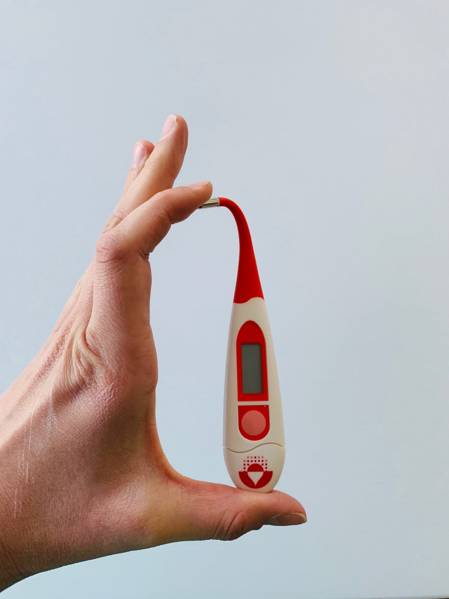 La Sante Chez Le Chat Les Oreilles Chaudes Sonotix